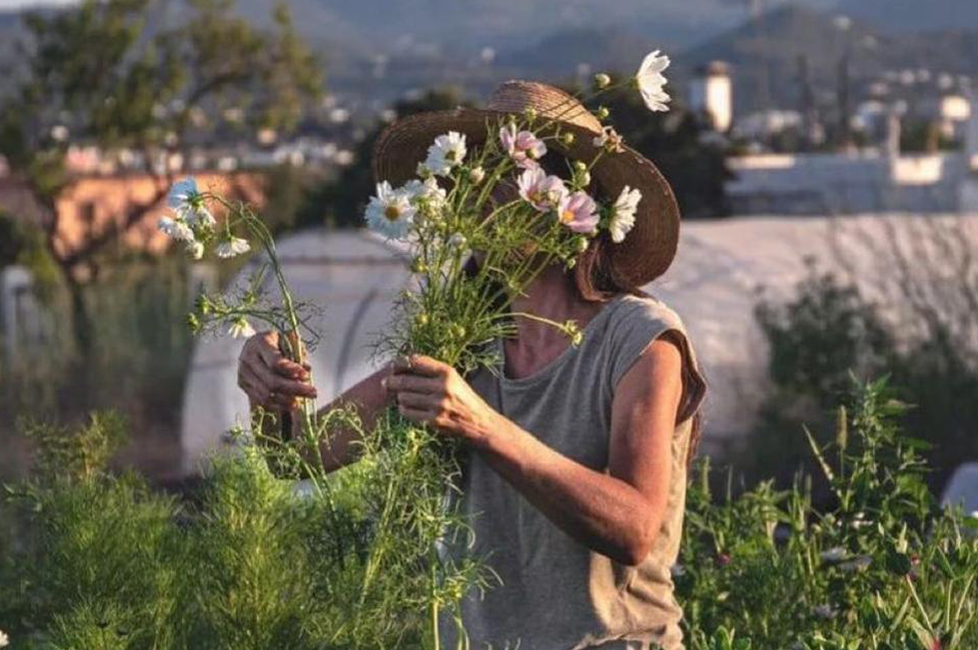 Ayudas para la creación de empresas de jóvenes agricultores y