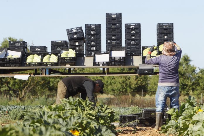 nuevos premios Rural’GO para impulsar la consolidación de empresas en el ámbito rural