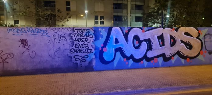 Denunciados tres jóvenes madrileños por pintadas vandálicas en Palma