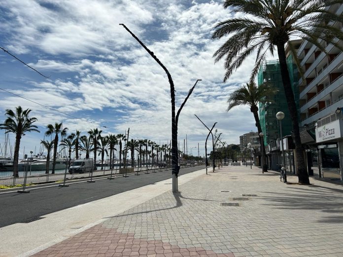 Apertura de nuevos carriles en el Paseo Marítimo de Palma el 25 de junio