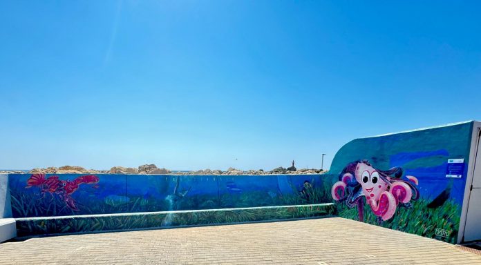 El Proyecto LIFE AdaptCalaMillor aúna arte y medio ambiente a través de un mural en Cala Bona