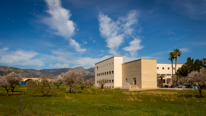 La UIB Planta un Bosque Educativo en el Campus