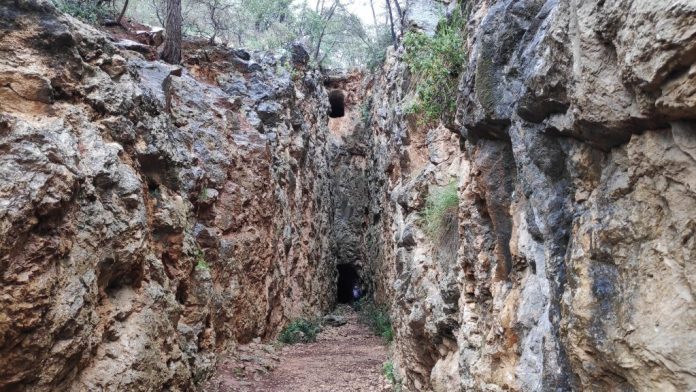 La finca de Son Quint será el primer gran pulmón verde de Palma en la Serra de Tramuntana