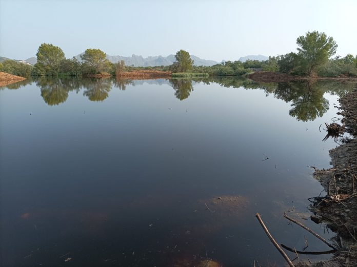 Concluye con éxito la ampliación de la laguna de Can Cuirassa en la Reserva Natural de s’Albufereta