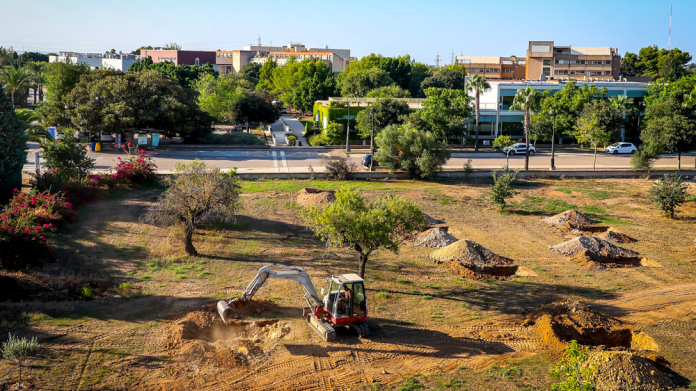 La UIB avanza en la creación de un bosque educativo en el campus