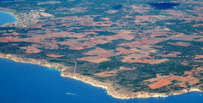 El proyecto de planta de hidrógeno amenaza la biodiversidad de la Marina de Llucmajor, alerta el GOB