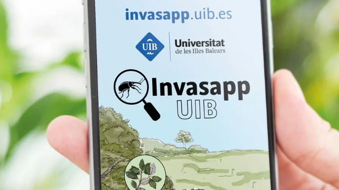 Invasapp, una aplicación móvil para detectar la presencia de insectos invasores