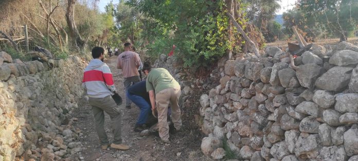 La finca de Galatzó acoge un curso para descubrir la construcción de márgenes en la Semana Europea del Patrimonio de Pedra en Sec