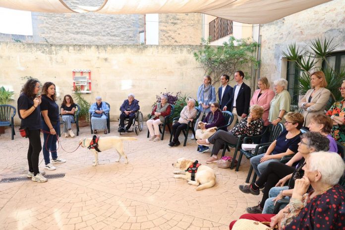 El IMAS amplía las terapias asistidas con perros a personas mayores autónomas