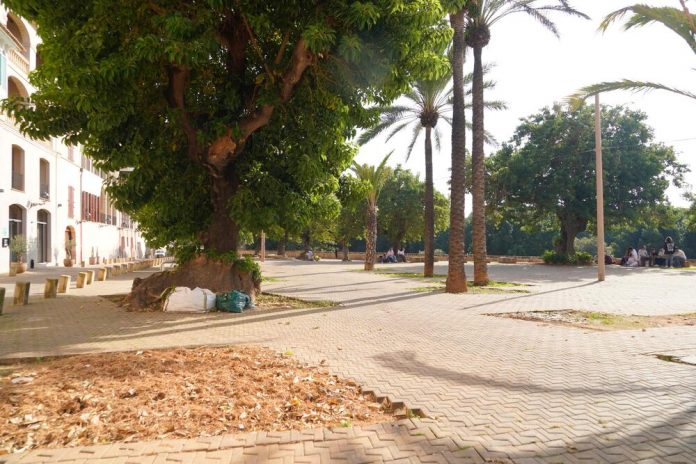 Cort ejecuta las actuaciones de mejora de la plaza Llorenç de Villalonga, con la creación de nuevas zonas verdes y mejora de la accesibilidad