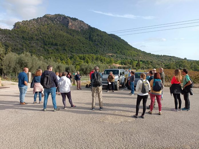 Más de 300 personas participan en el programa «Viu el patrimoni» del Consell de Mallorca