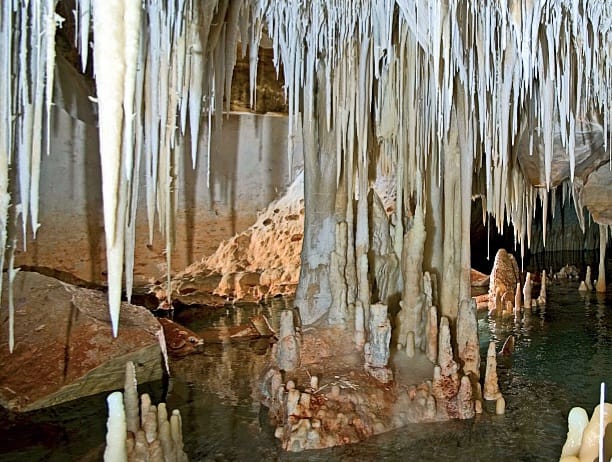 La cueva del Pas de Vallgornera no presenta contaminación por aguas fecales