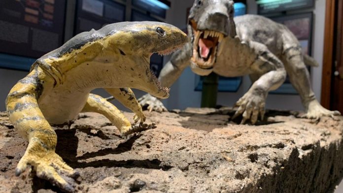 Descubierto en Mallorca el 'dientes de sable' más antiguo del mundo con 270 millones de años