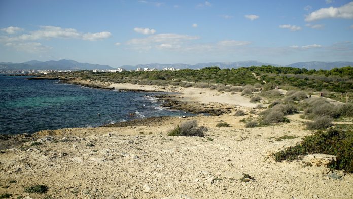 Es Carnatge, de vertedero de Palma a un paraíso natural