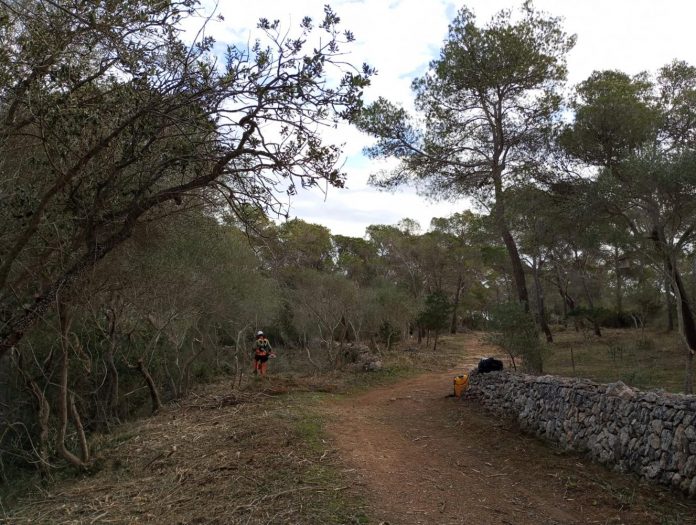 Trabajos para la prevención de incendios en el Parque Natural de Mondragó