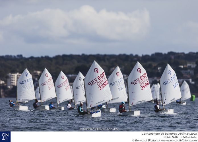 Arranca el Campeonato de Baleares de Optimist, clasificatorio para el Nacional